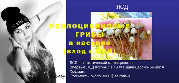 прущая мука Сосновка